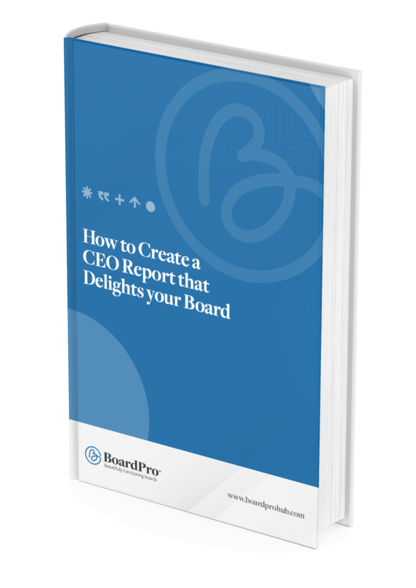 CEO Report Template